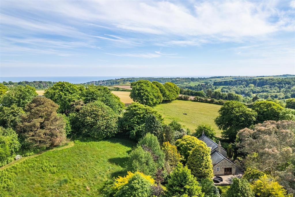 DJI 0994-HDR.jpg