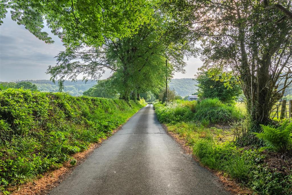 DSC 3036-HDR.jpg