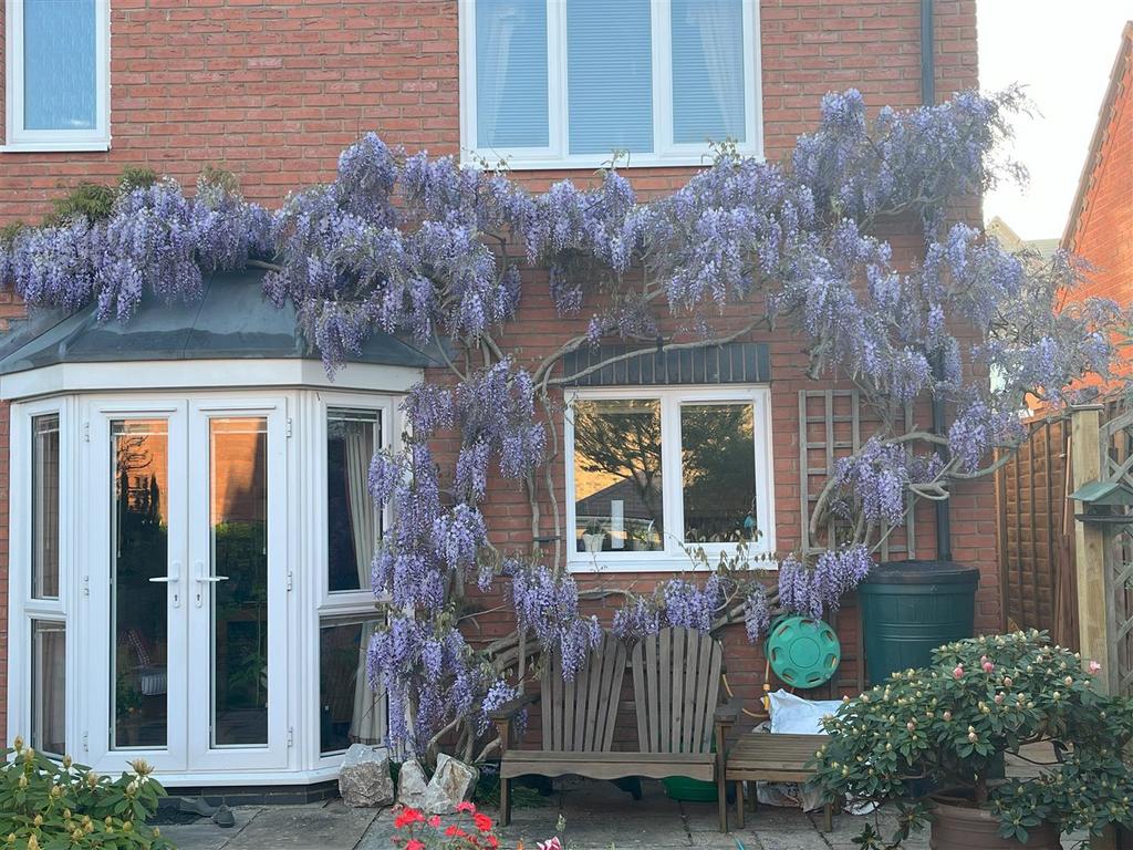 Wisteria.png