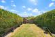 Eversley Crescent, St. Leonards-On-Sea photo 2