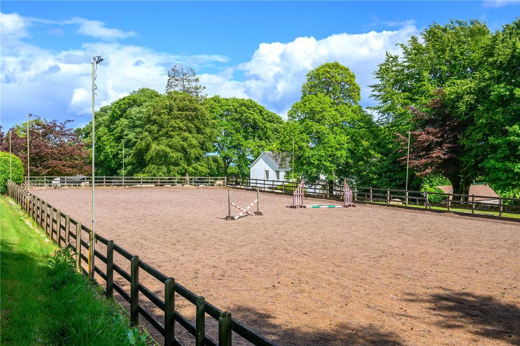 Outdoor Arena