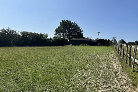 undefined, Pine Tree Farm, Bexhill TN39