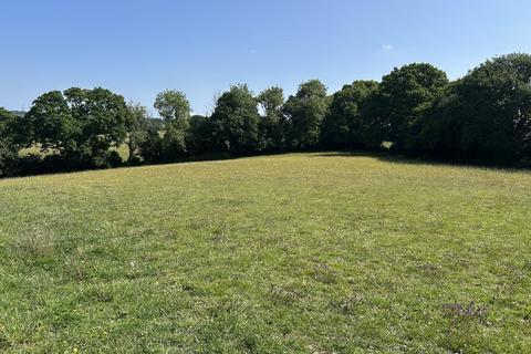 undefined, Pine Tree Farm, Bexhill TN39