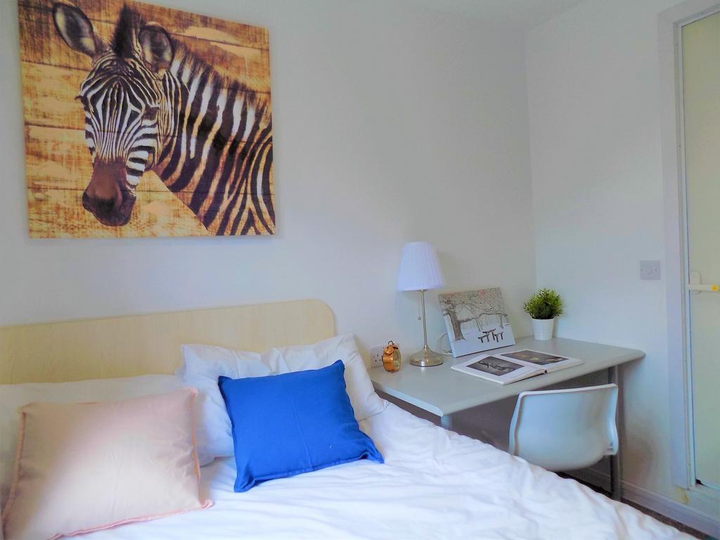 A bright and tidy single bedroom featuring a co...