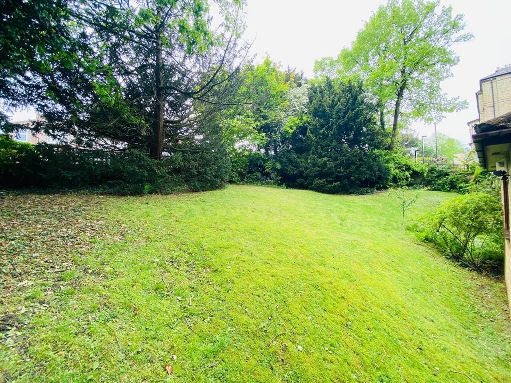 Fe Syy4pf GUq Oro Gw D53 Bwg.jpg