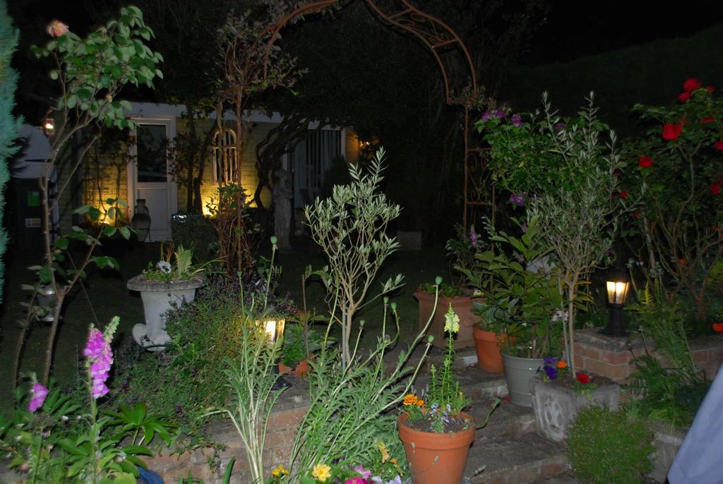 Dsc 0428 01.jpg
