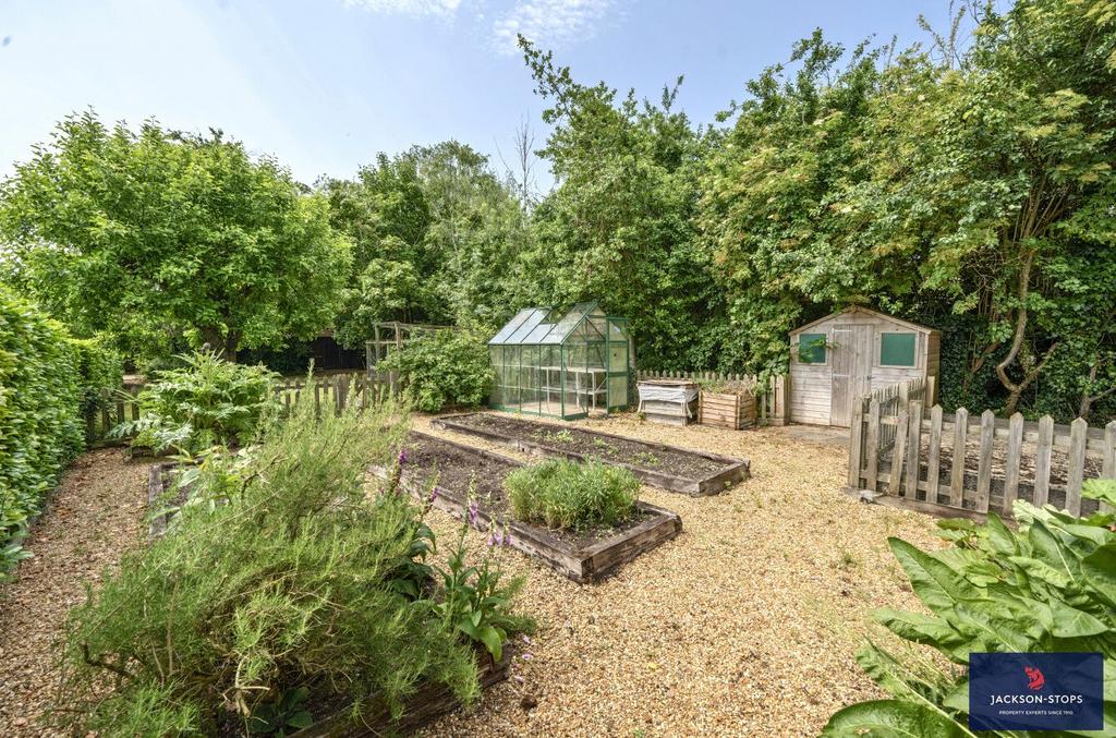 Vegetable Garden
