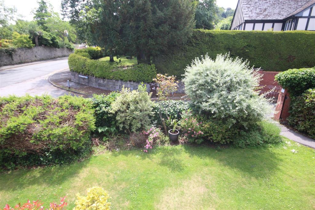 Img 9942.jpg