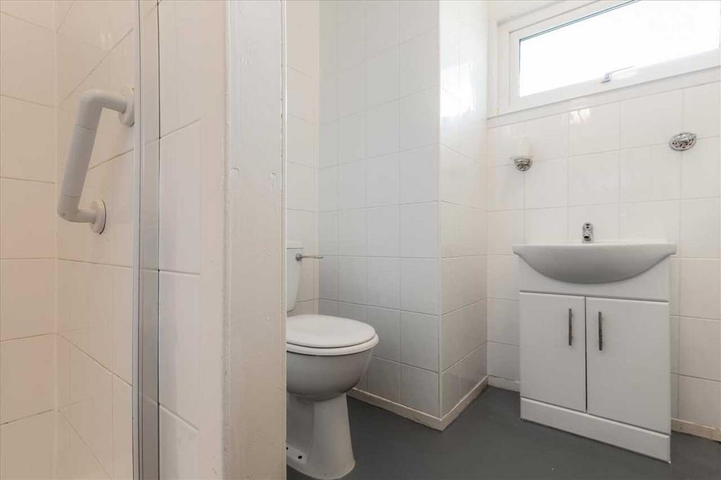 Lower Level Shower