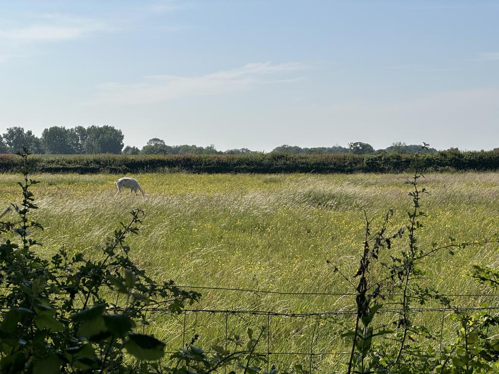 9 T202506301211.jpg