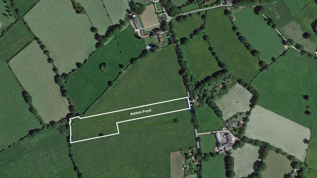 An ideal smallholding near Lingfield.