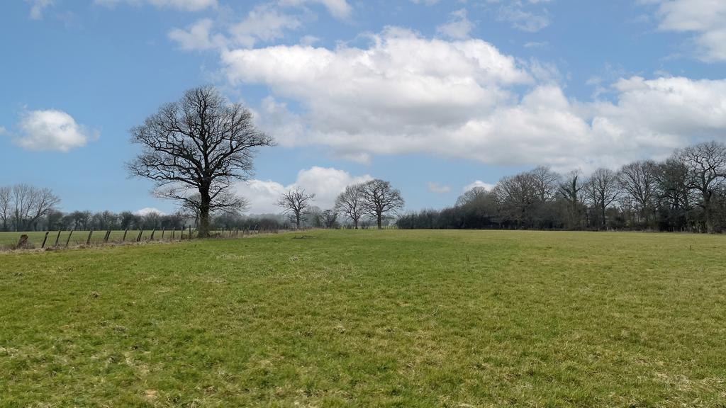 Flat, pasture land for sale near Lingfield.
