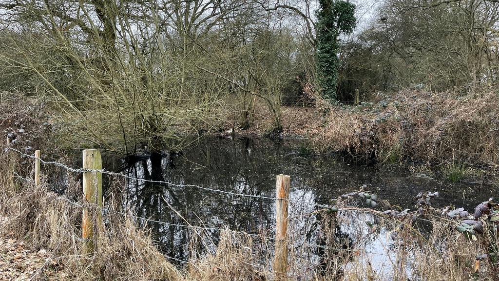 Includes a charming pond.