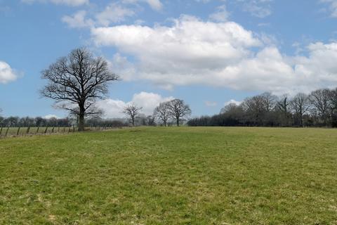 undefined, Ashton Pond, Lingfield, Surrey RH7