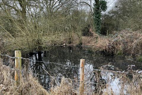 undefined, Ashton Pond, Lingfield, Surrey RH7
