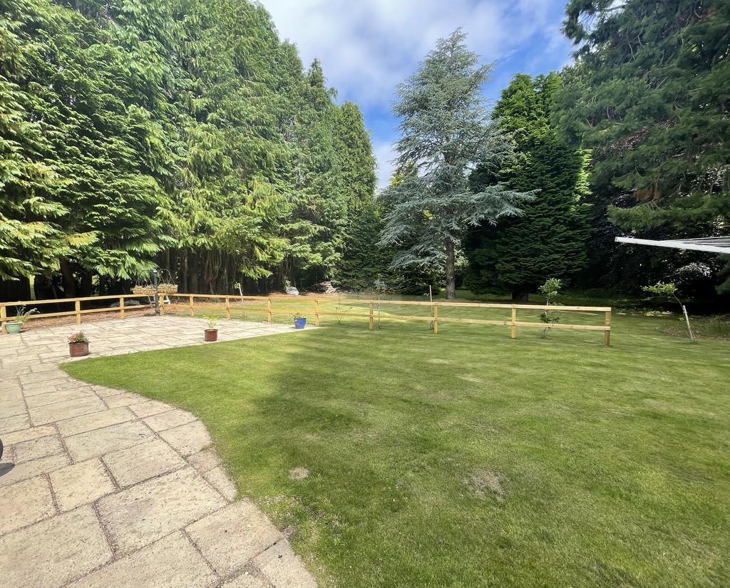 Garden a.JPG
