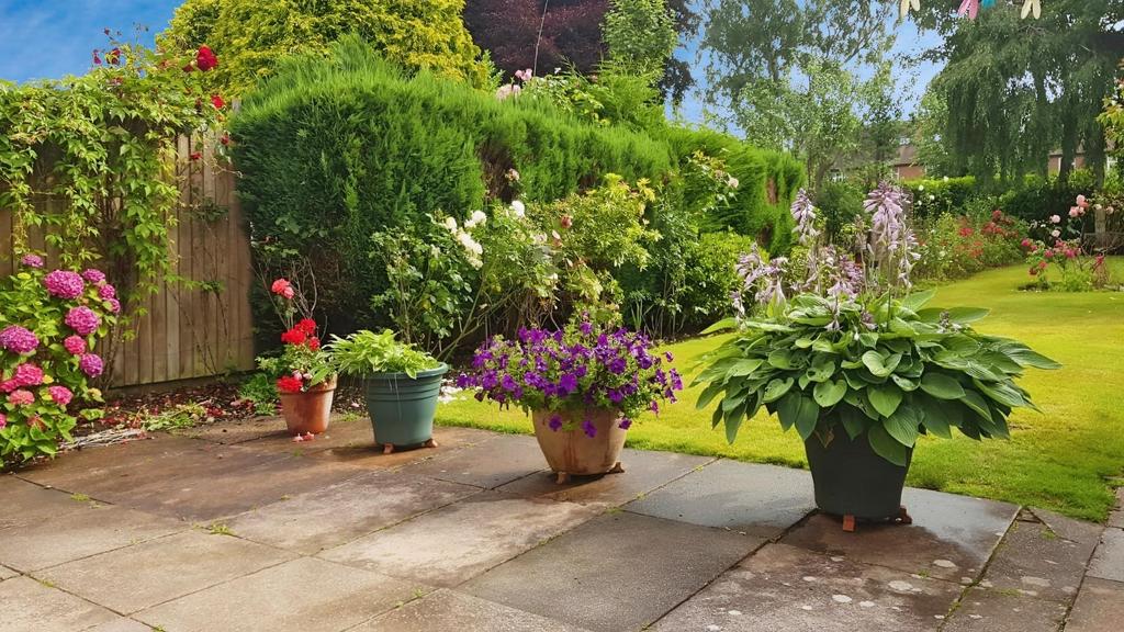 85f6ca4e-IMG-20240715-WA0000.jpg