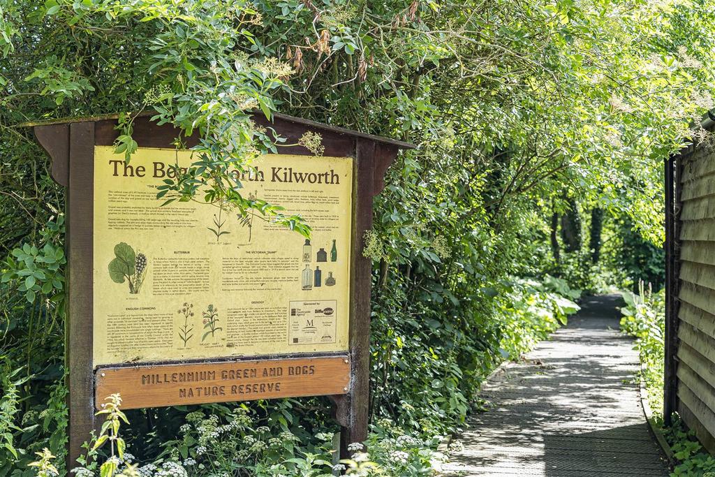 Millennium Green