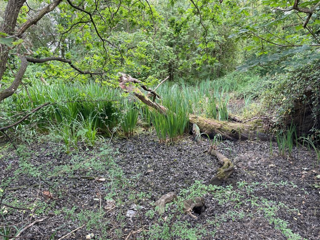 Pond on the land which is show on the location map