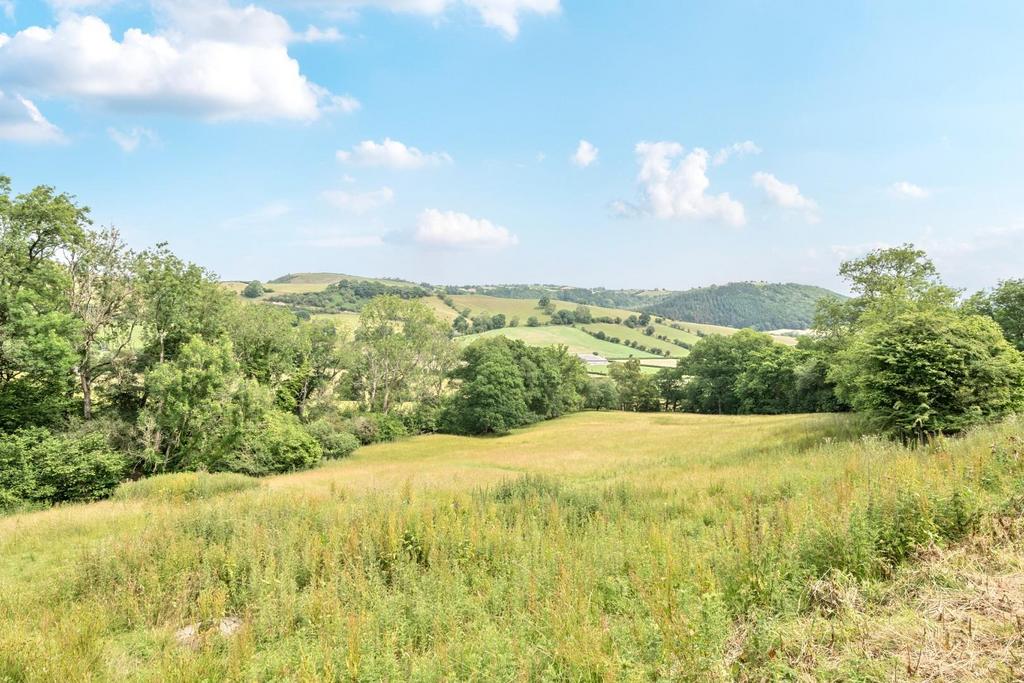 Field view.jpg