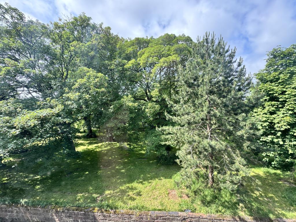 View from living area window
