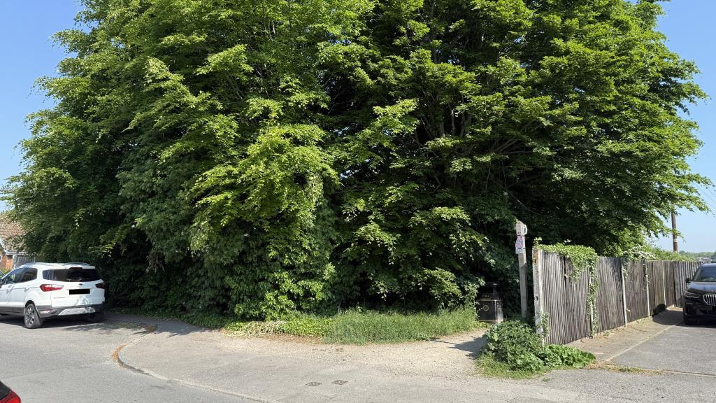 External image of rear of site and sub-station