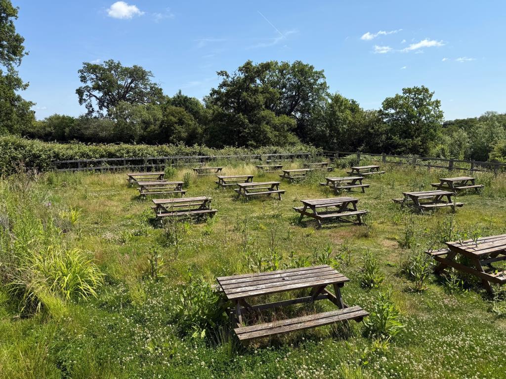 Garden area with picnic benches