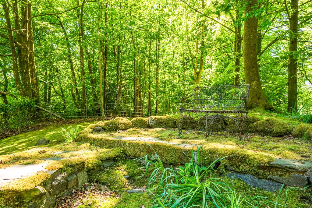 Woodland Garden - Seating Area
