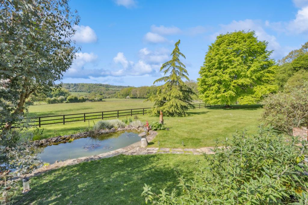 Garden and Pond
