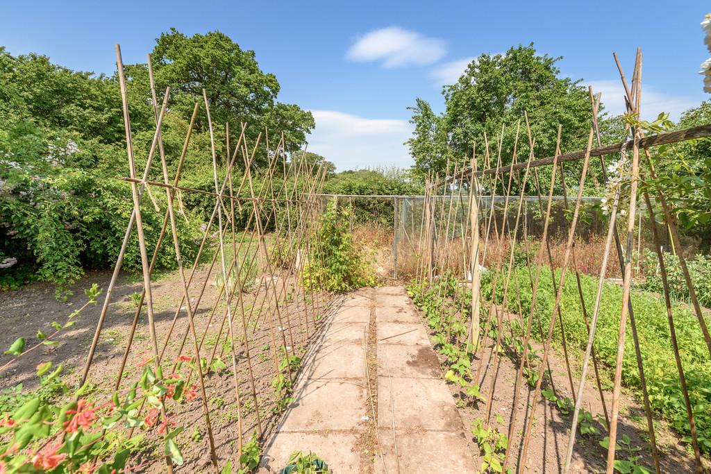 Kitchen Garden 2