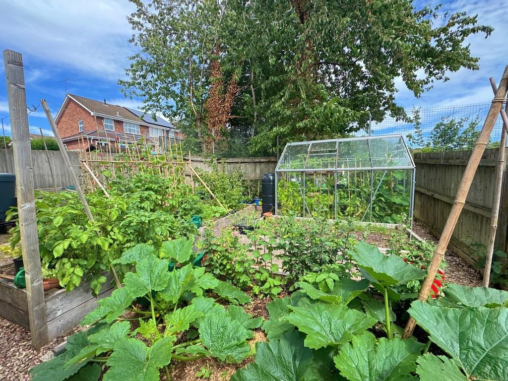 Greenhouse and Raised Beds