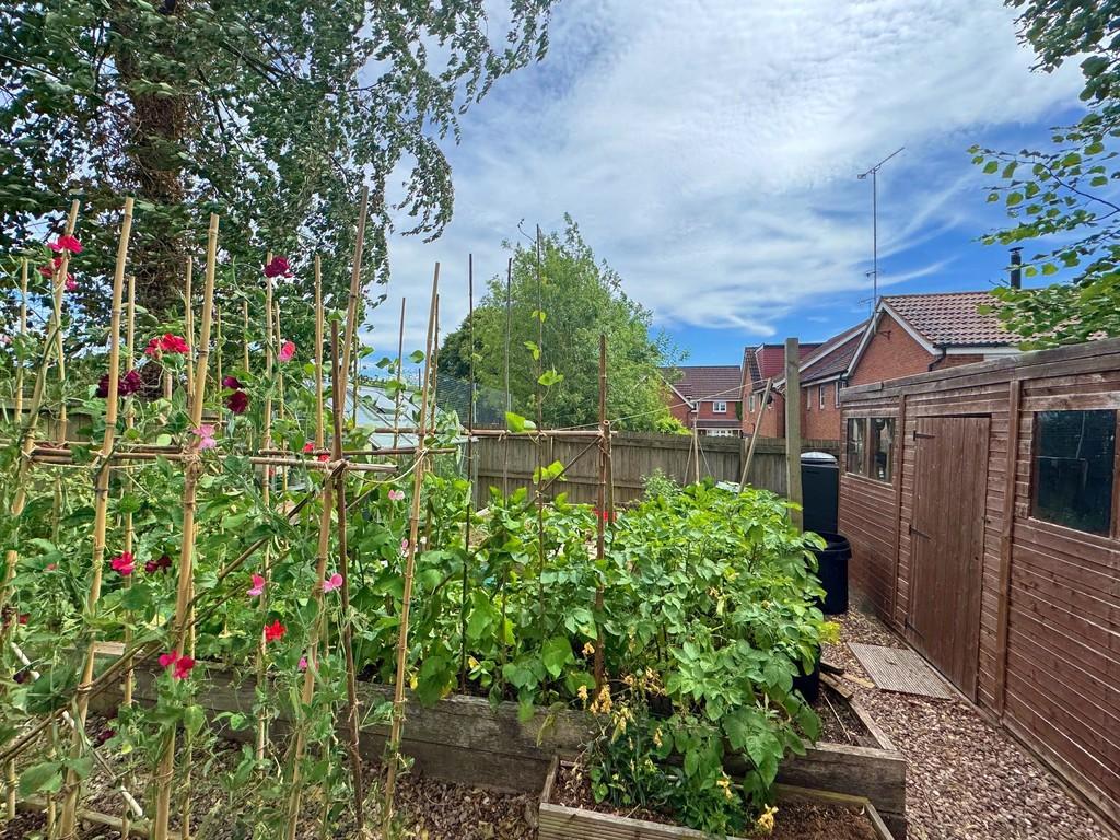 Raised Beds and Shed
