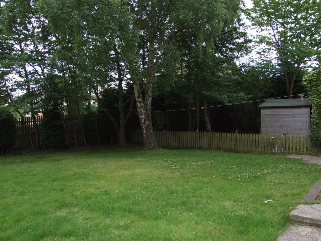 Photograph 6