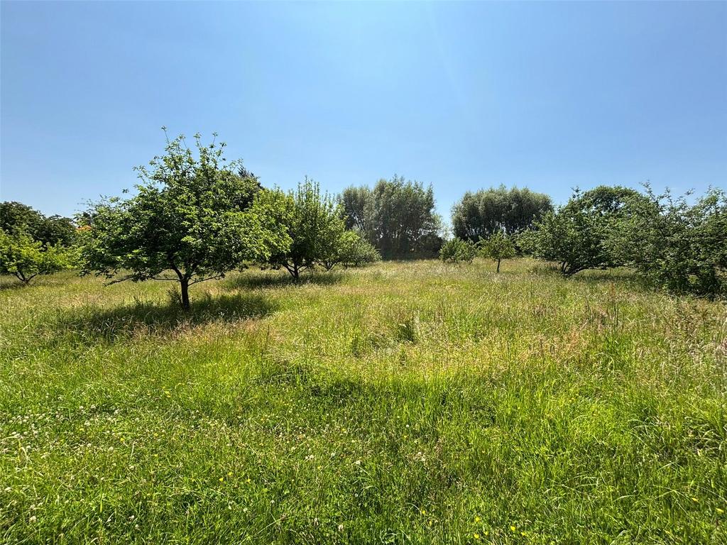 Picture No. 14