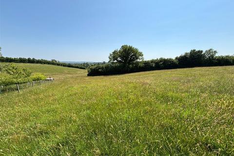 undefined, Winford, Bristol - Paddock on edge of the village