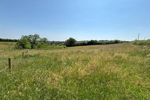 undefined, Winford, Bristol - Paddock on edge of the village