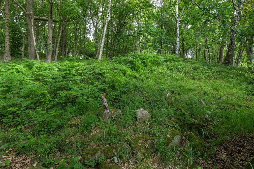 Woodland