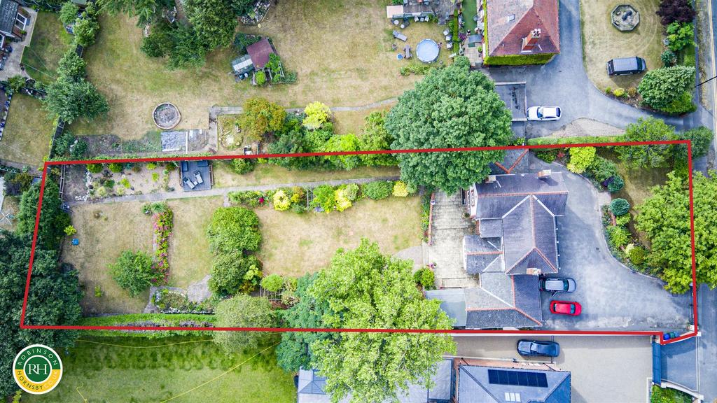SINR0004 RED LINED.jpg