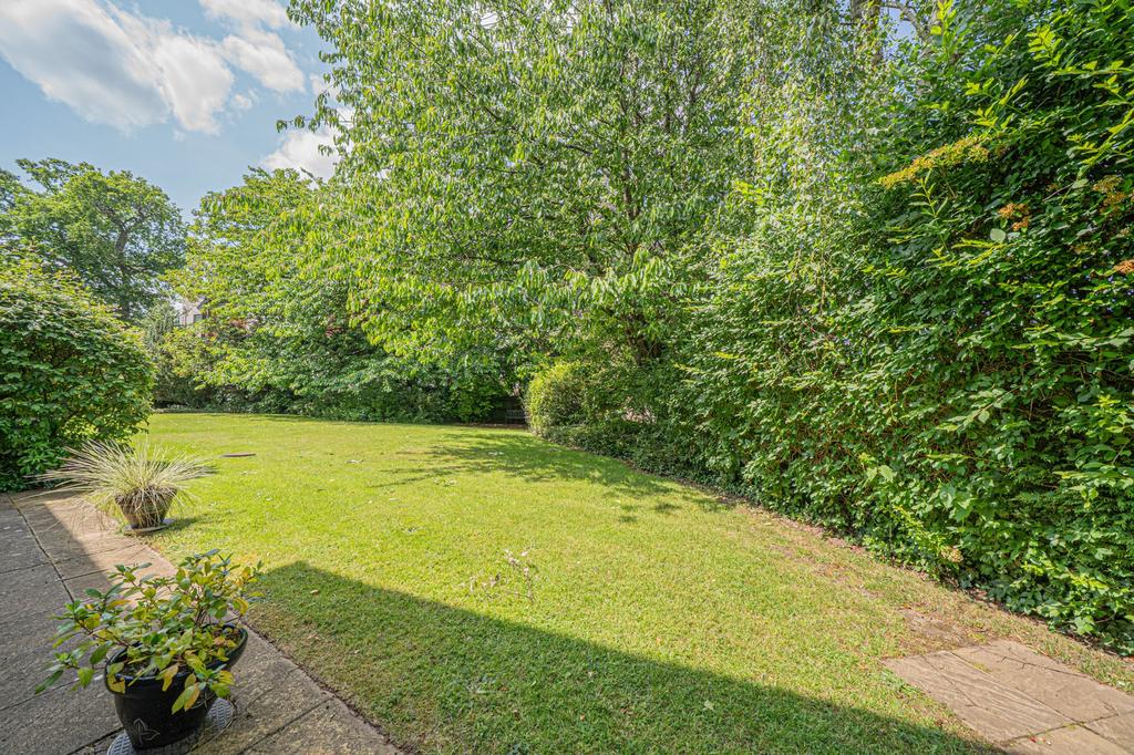 Garden view, garden