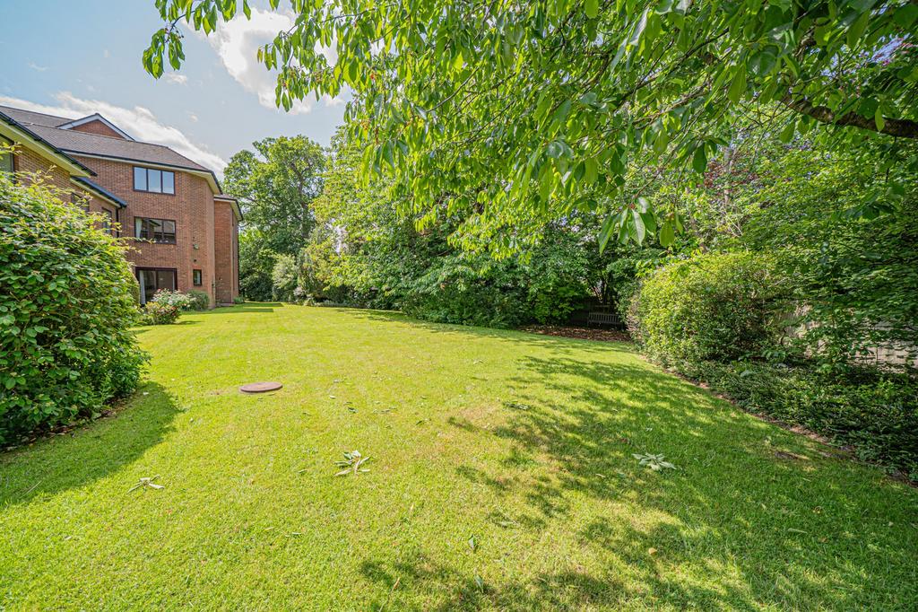 Garden view, garden