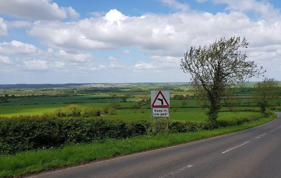 Local Views