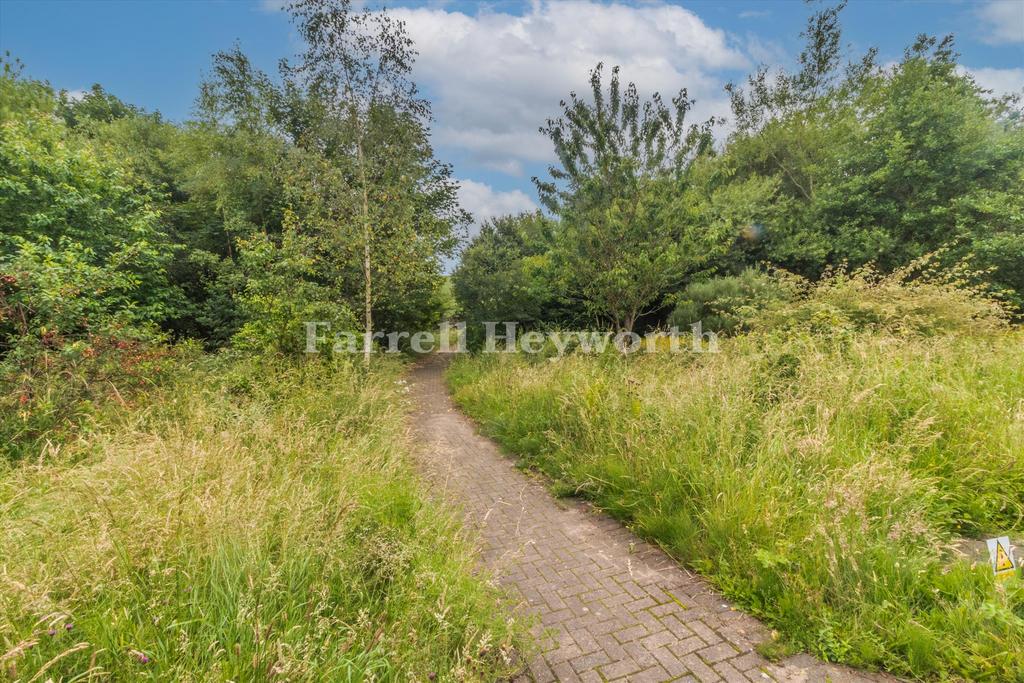 Approach to woodland