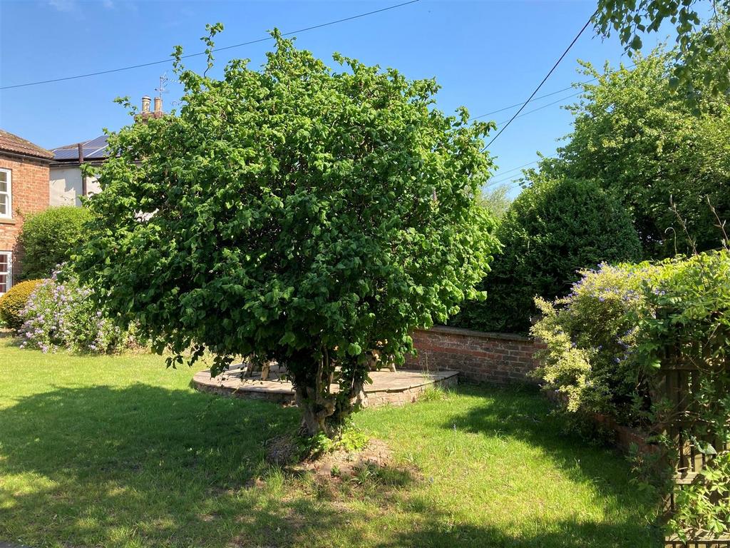 Garden 6.jpg