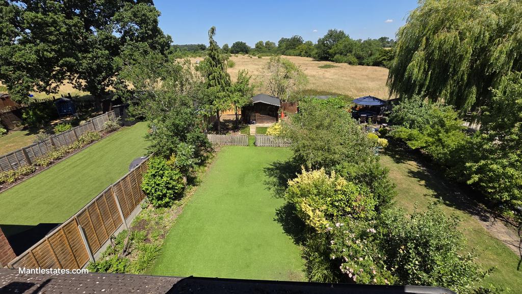 Views of garden