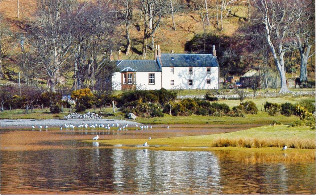 The Lodge