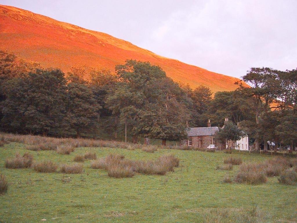 Evening Sunshine Behind The Lodge