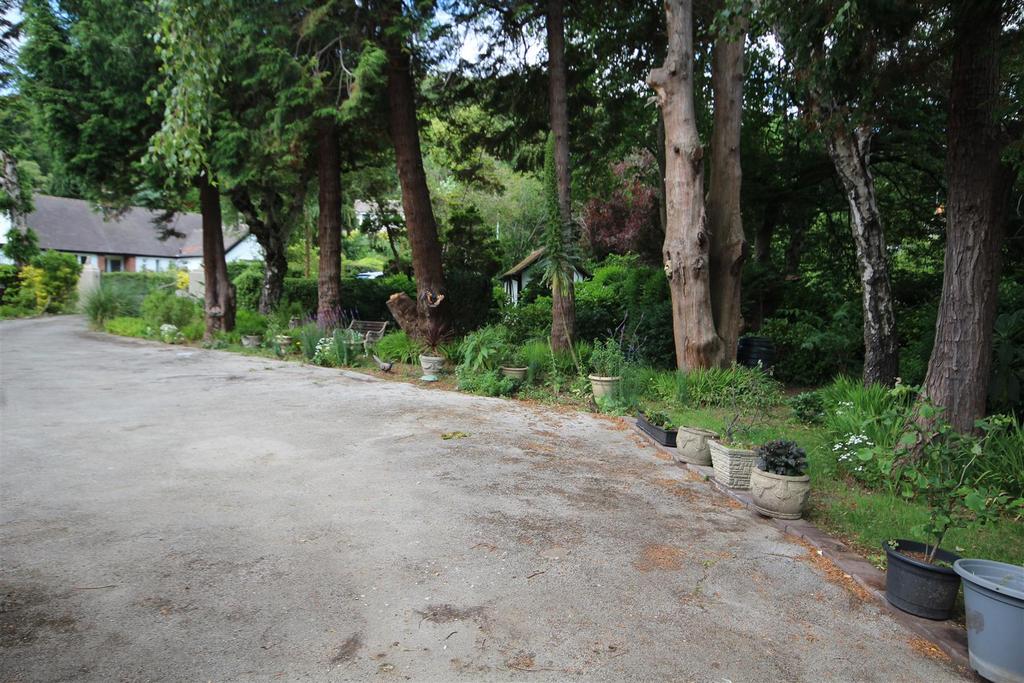 Img 0003.jpg