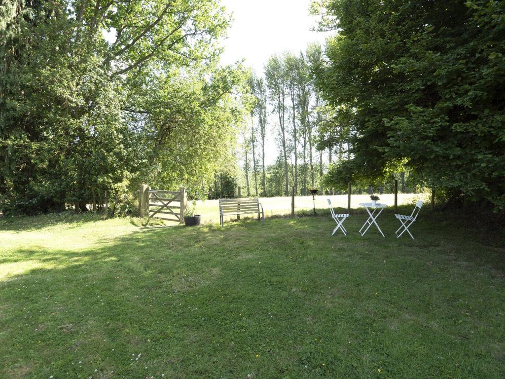 Picture 23