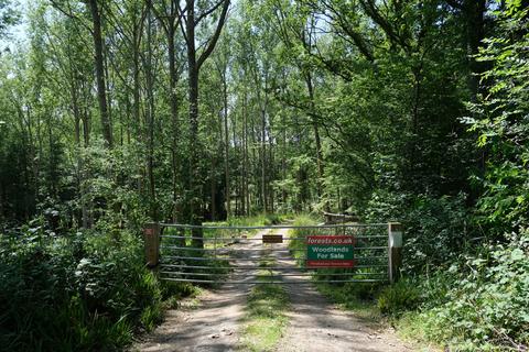 Woodland for sale, Junction Road, Staplecross TN32