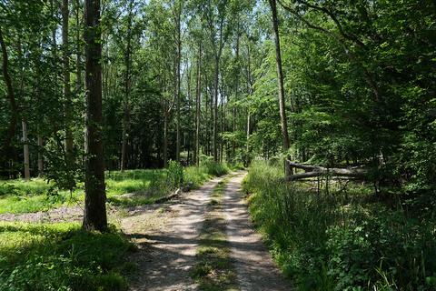 Woodland for sale, Junction Road, Staplecross TN32